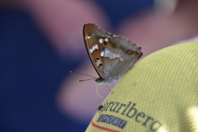 XIII Gala Sportu Żyrowik - foto